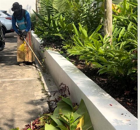 Planter bed upkeep driveway — Condominium & Commercial Maintenance by Tanaman Garden Co.