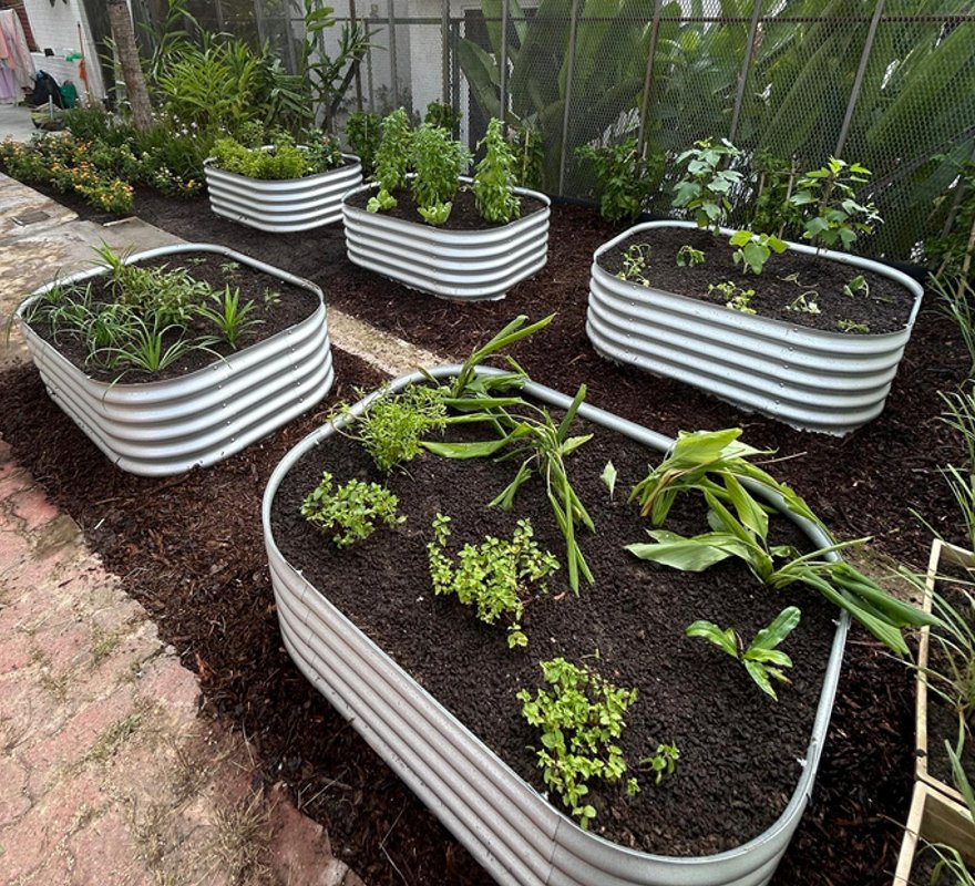Galvanised raised beds planted with herbs
