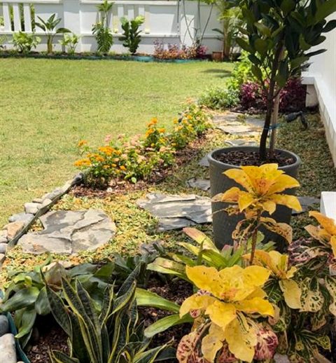 Bungalow lawn with colourful border planting