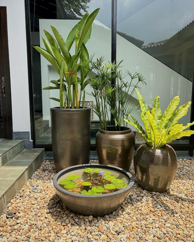 Three glazed bronze pots with heliconia, umbrella papyrus and bird's-nest fern beside a water-lily bowl on river pebbles