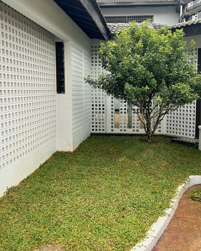 Freshly turfed courtyard with a small tree against white breeze-block walls and a curved white kerb