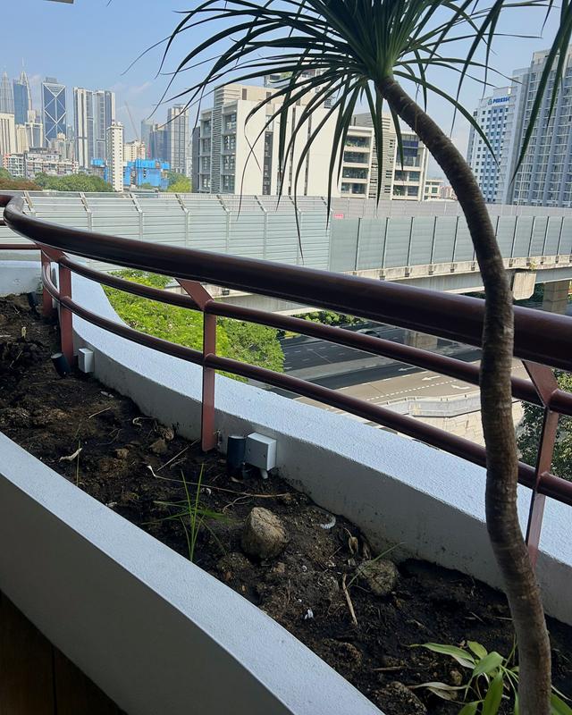 The balcony planter before the makeover: bare, lumpy soil and a single existing plant.