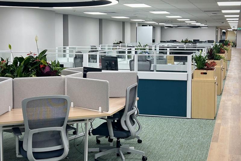 Wide view of the open-plan office with plants along the cabinets and between desks.