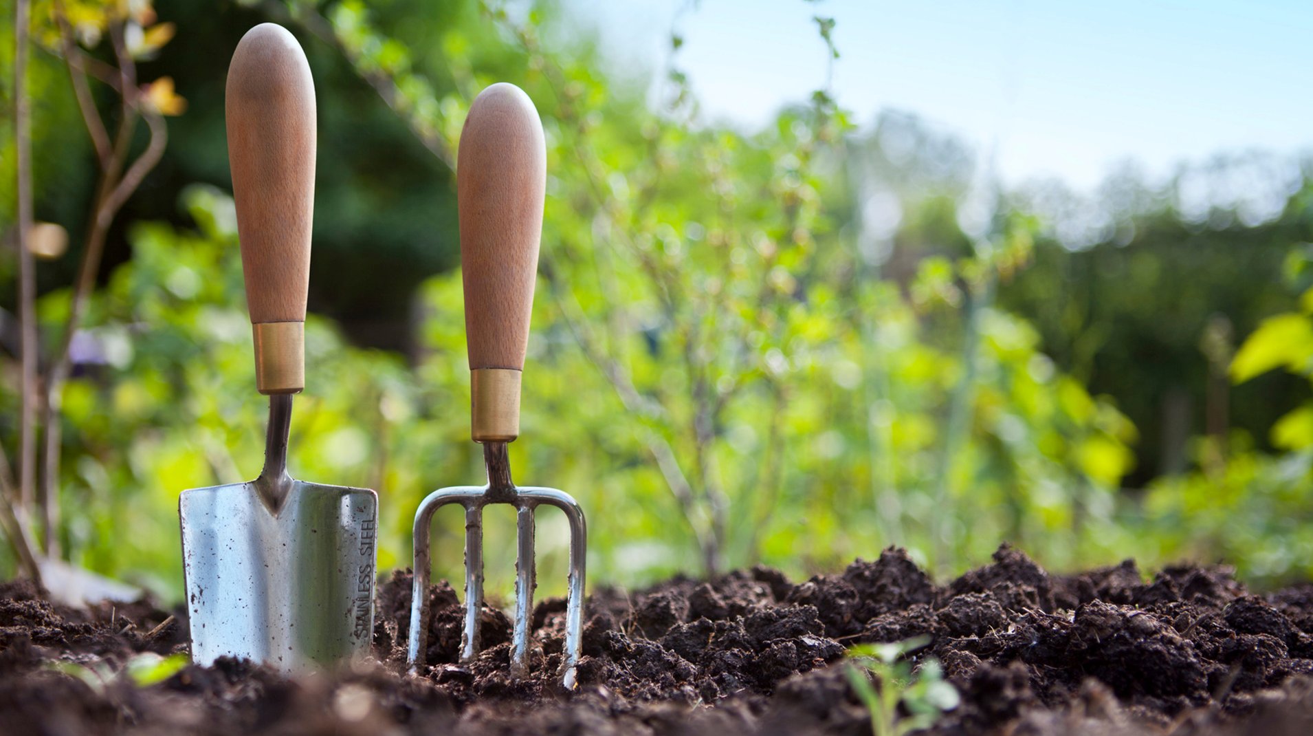 A hand trowel and a hand fork standing upright in dark, freshly dug garden soil
